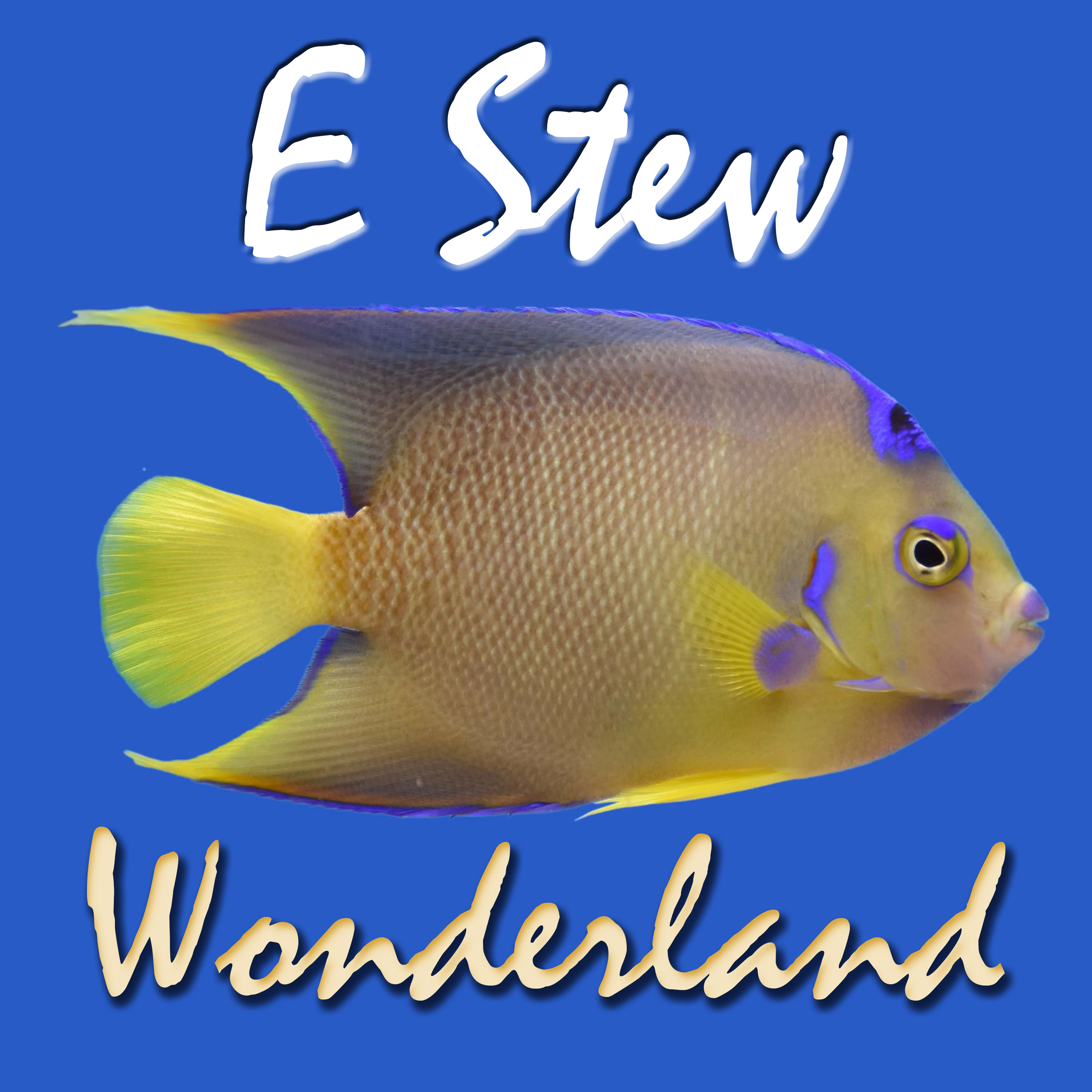 E Stew - Wonderland - cover art