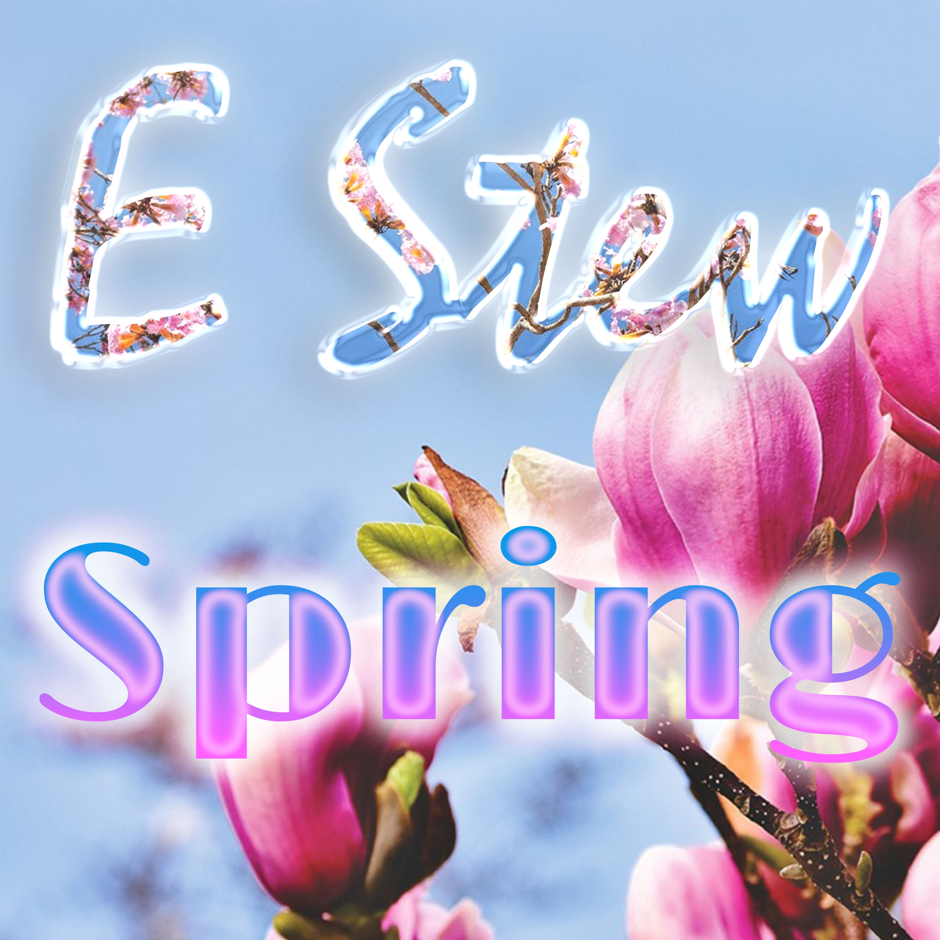 E Stew - Spring - cover art